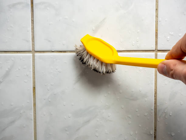 Best Home Mold Removal  in Pea Ridge, FL