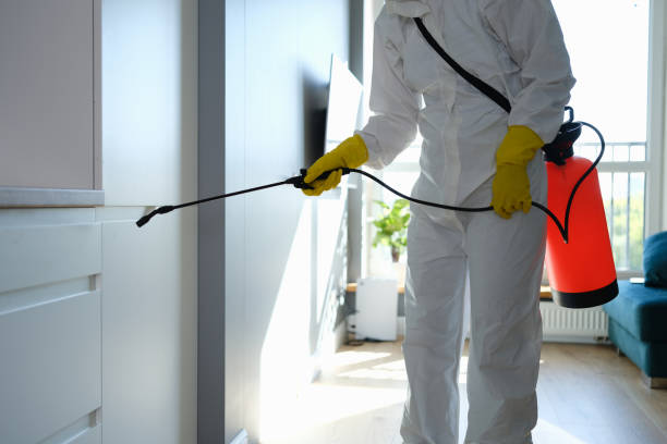 Best Mold Cleaning Services  in Pea Ridge, FL